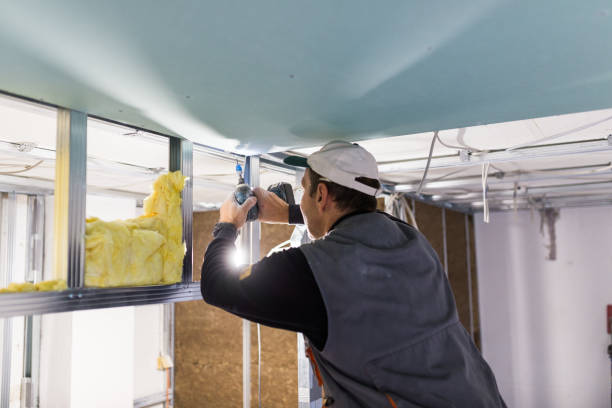 Best Insulation for New Construction  in Abingdon, IL