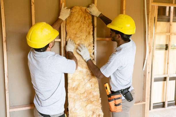 Best Home Insulation Services  in Abingdon, IL